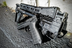 keltec4dayz